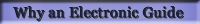 Why Have an Electronic Tour Guide